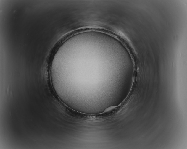 X0000088081360200705251400