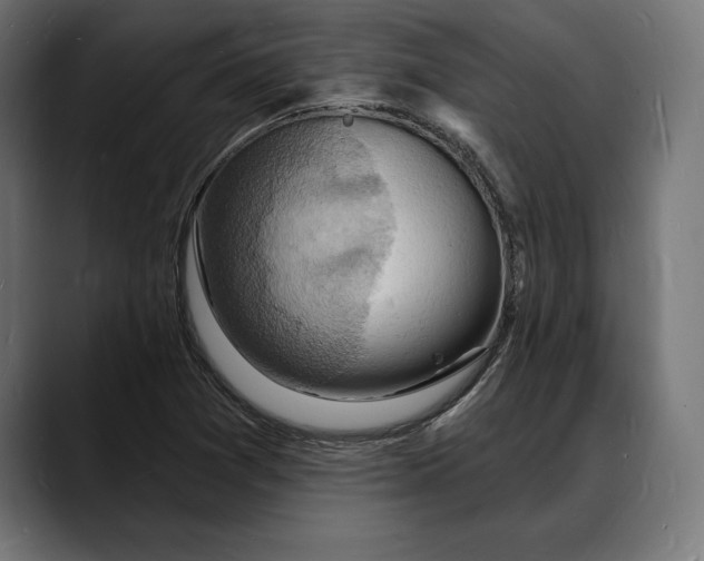 X0000088081361200705251400