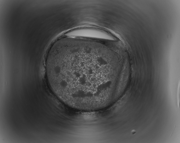 X0000088081363200705251400