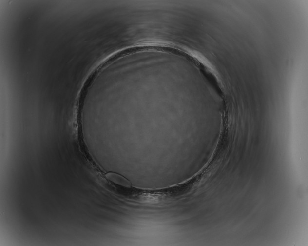X0000088081364200705251400