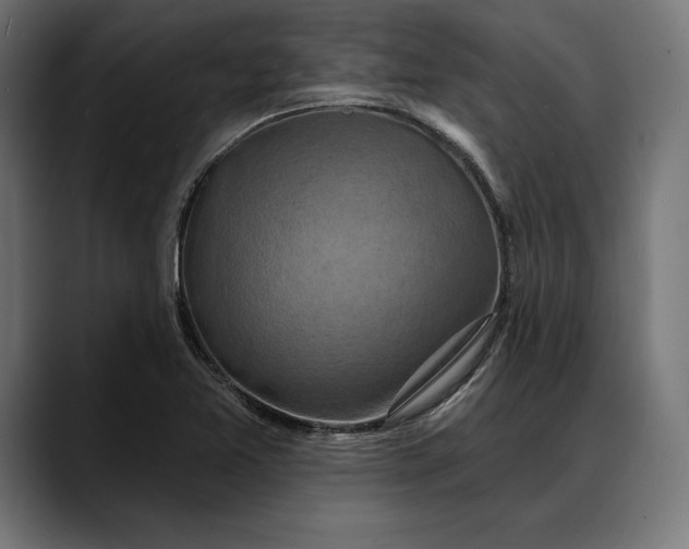 X0000088081365200705251400