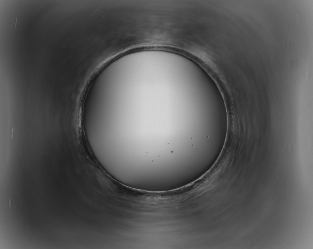 X0000088081366200705251400