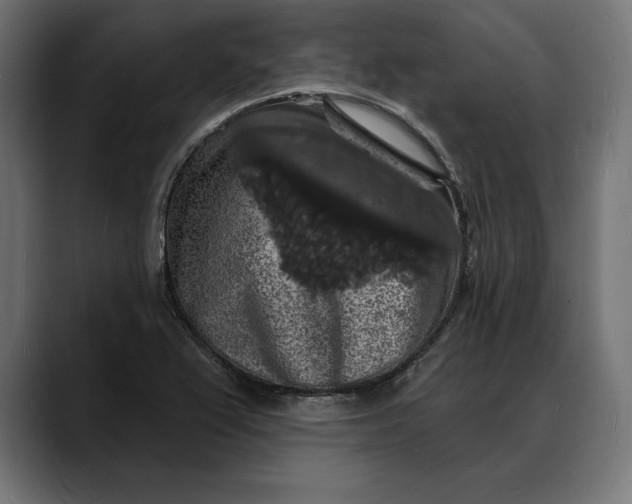 X0000088081367200705251400