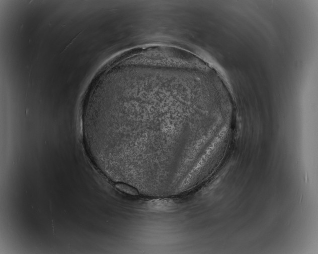 X0000088081368200705251400