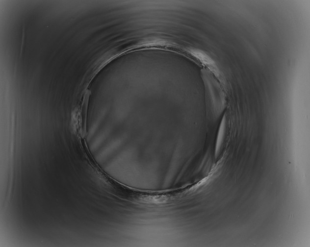 X0000088081369200705251400