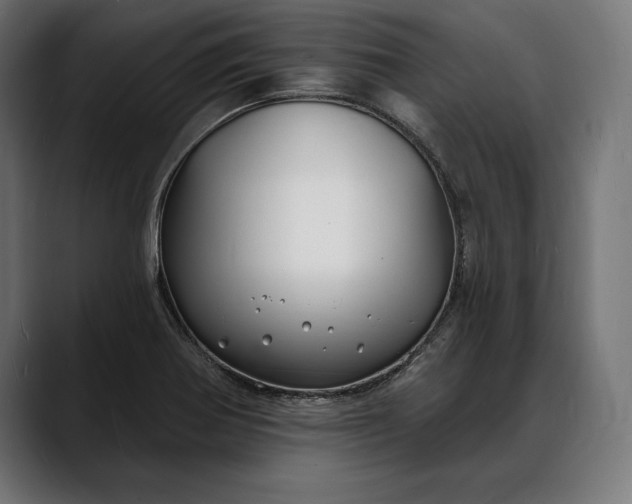 X0000088081370200705251400