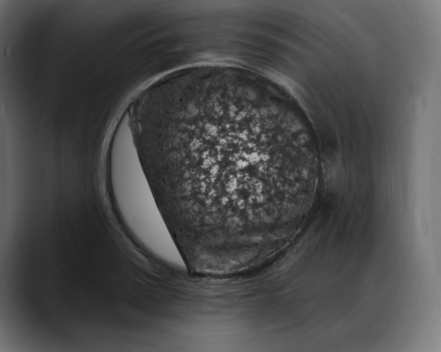 X0000088081371200705251400