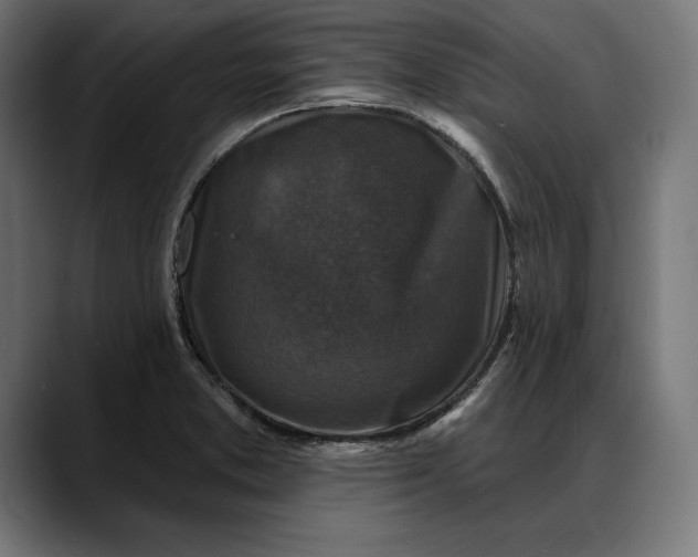 X0000088081373200705251400