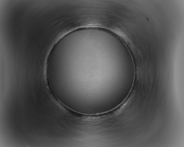 X0000088081374200705251400