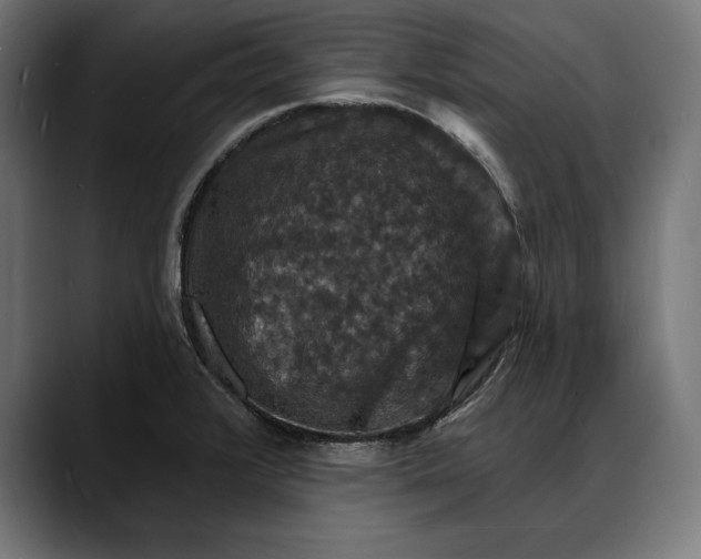 X0000088081376200705251400