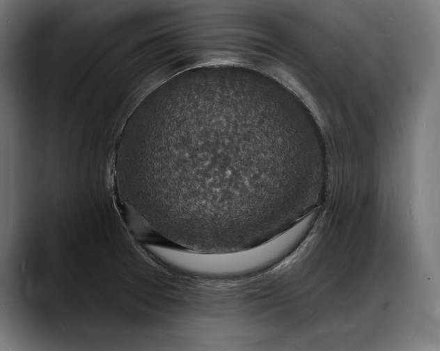 X0000088081377200705251400