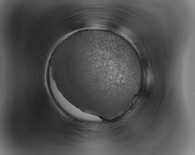 X0000088081379200705251359