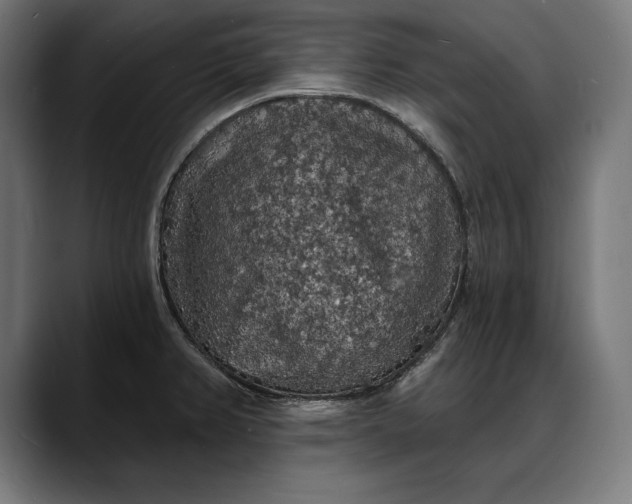 X0000088081382200705251359
