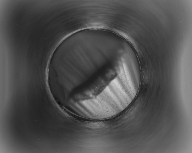 X0000088081383200705251359
