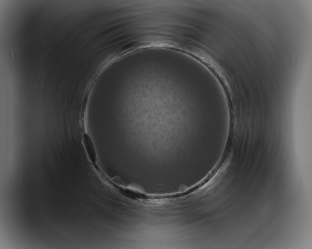 X0000088081385200705251359