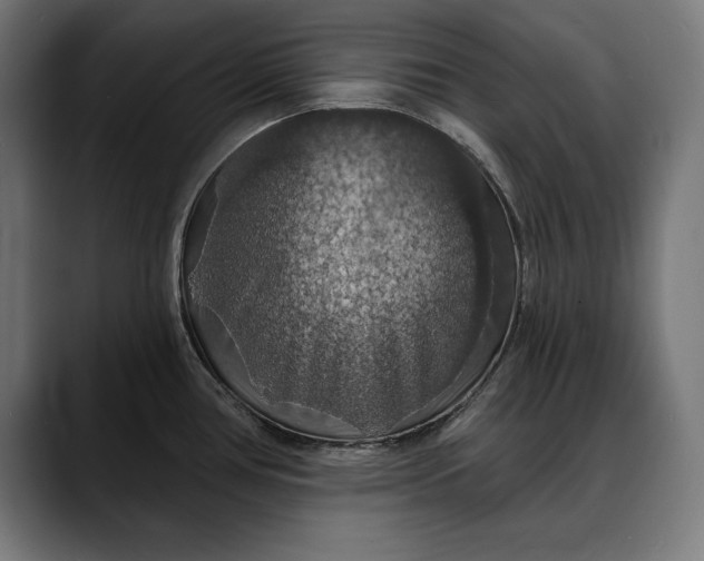 X0000088081386200705251359