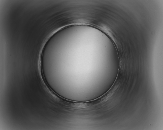 X0000088081387200705251359