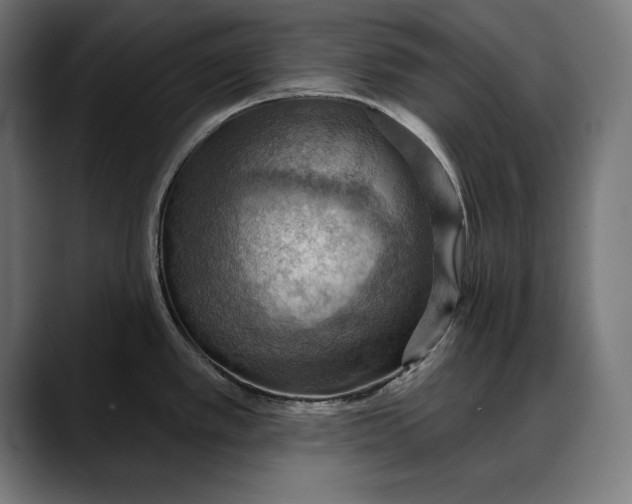 X0000088081389200705251359