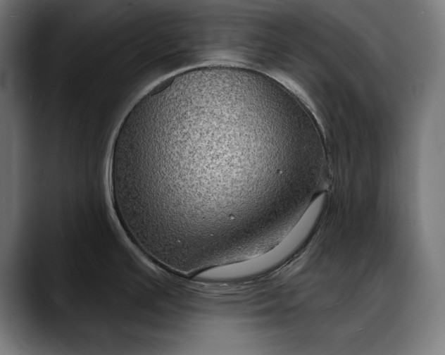 X0000088081391200705251359