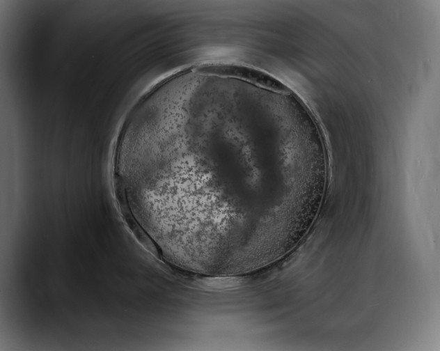 X0000088081392200705251359