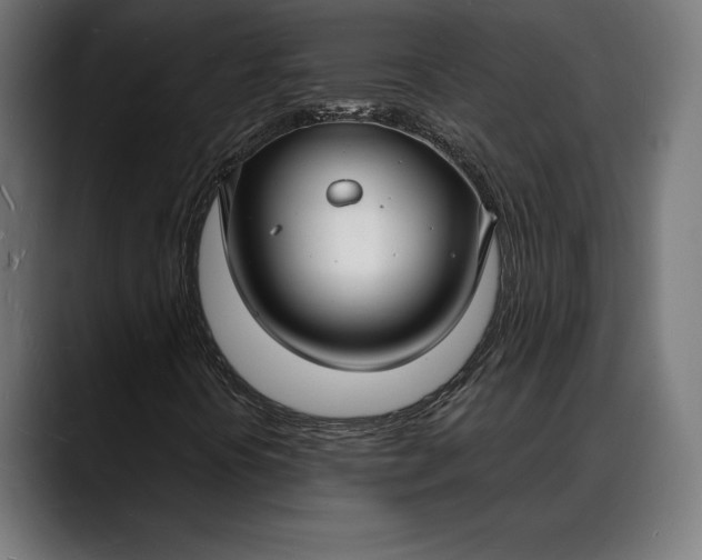 X0000088081394200705251359