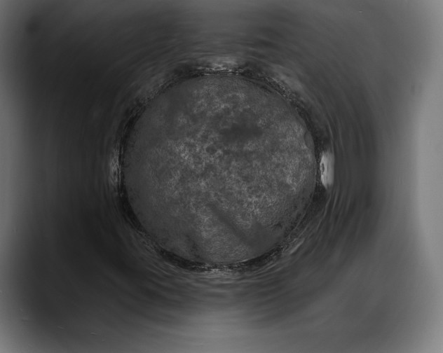 X0000088081395200705251359