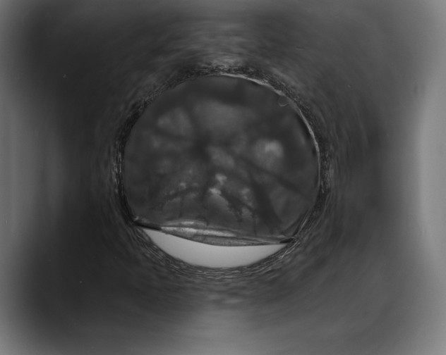 X0000088081397200705251359