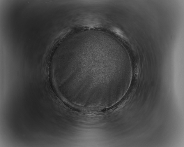 X0000088081398200705251359