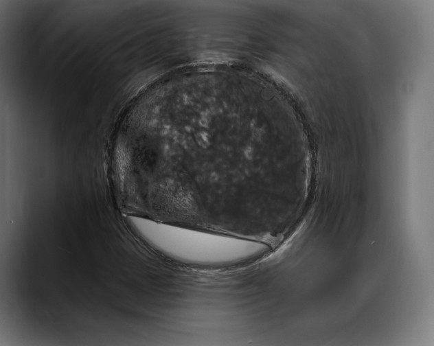 X0000088081401200705251359