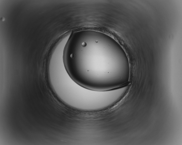 X0000088081402200705251359
