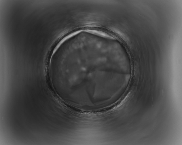 X0000088081405200705251359