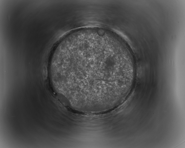 X0000088081407200705251359