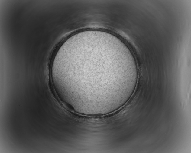 X0000088081408200705251359