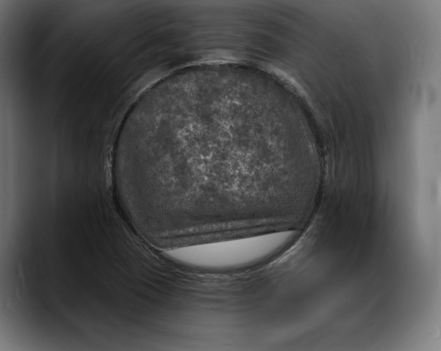 X0000088081409200705251359