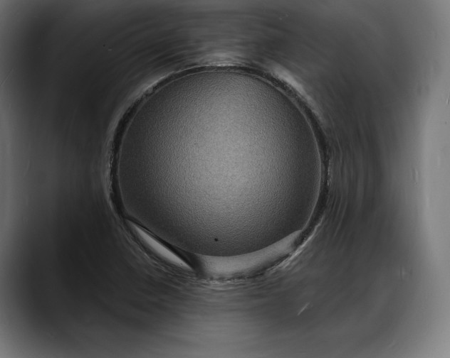 X0000088081410200705251359