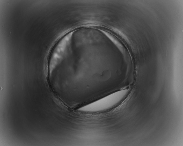 X0000088081413200705251359