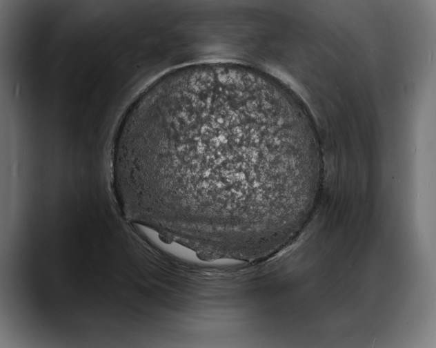 X0000088081415200705251359