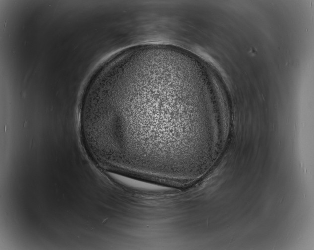 X0000088081416200705251359