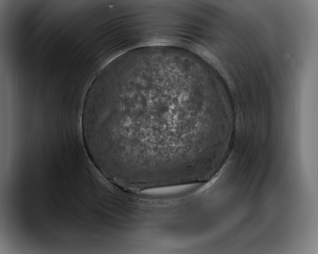 X0000088081417200705251359