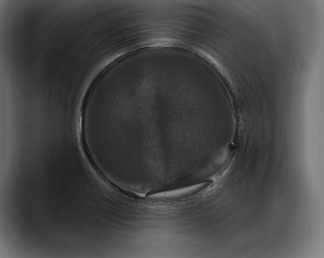 X0000088081418200705251359