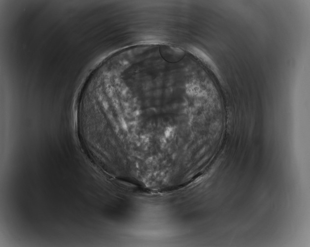 X0000088081419200705251359