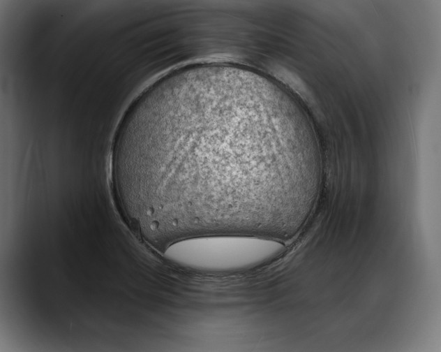 X0000088081420200705251359