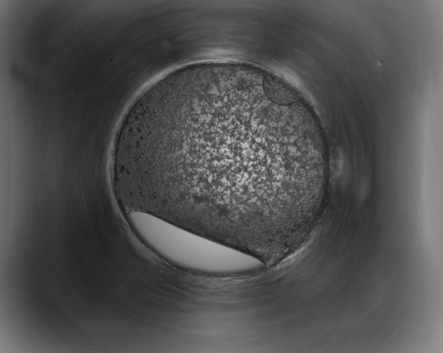 X0000088081421200705251359