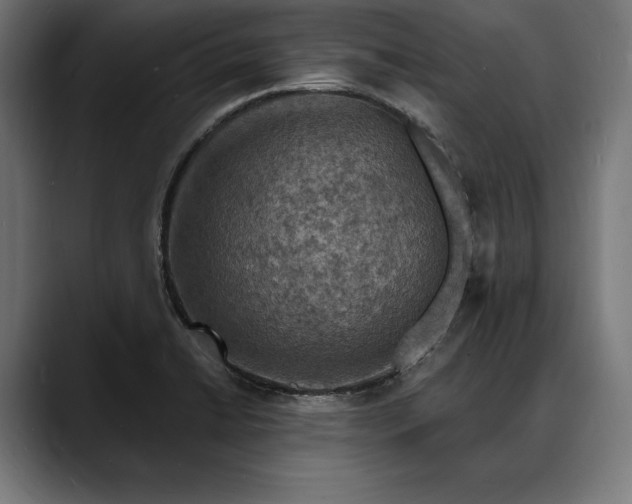 X0000088081422200705251359