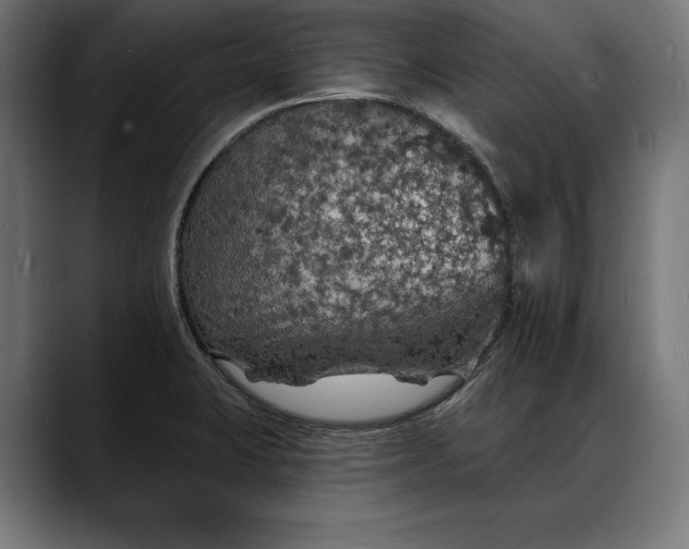 X0000088081423200705251359
