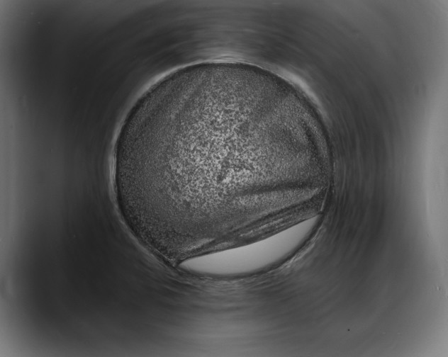 X0000088081424200705251359