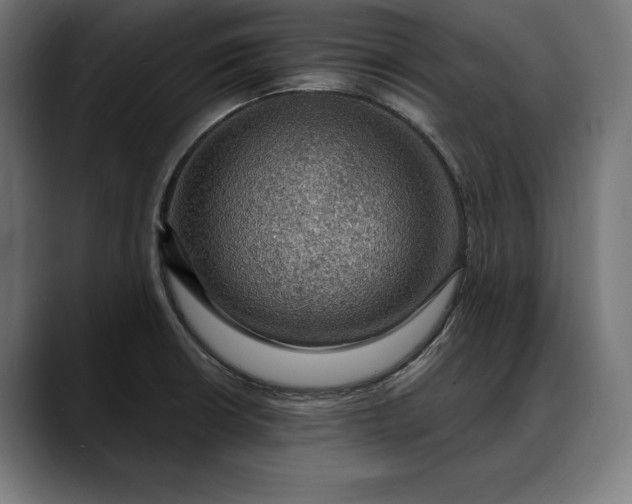X0000088081426200705251359