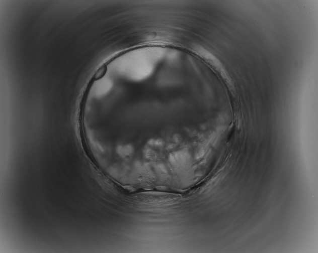 X0000088081427200705251359