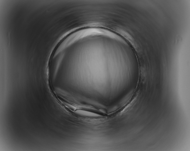 X0000088081428200705251359