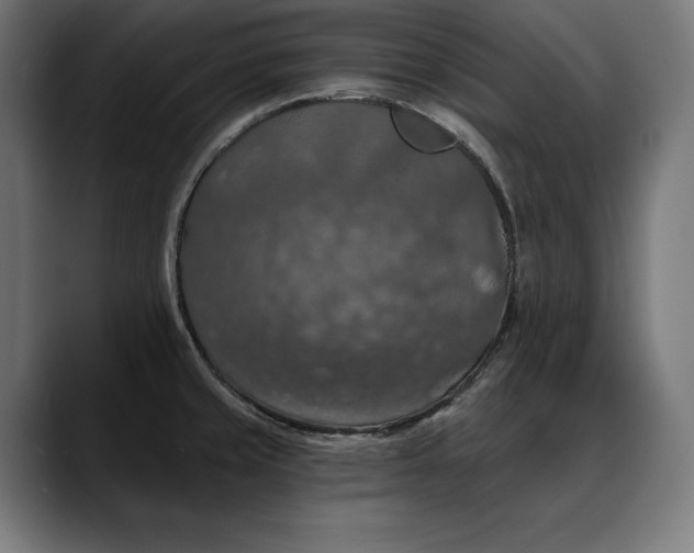 X0000088081429200705251359